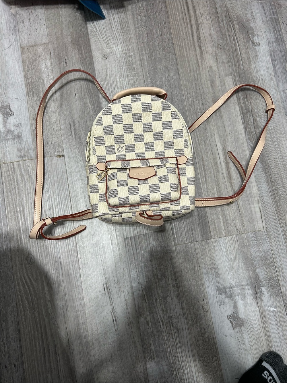 Luis Vuitton Palm Springs Mini Backpack Replication
